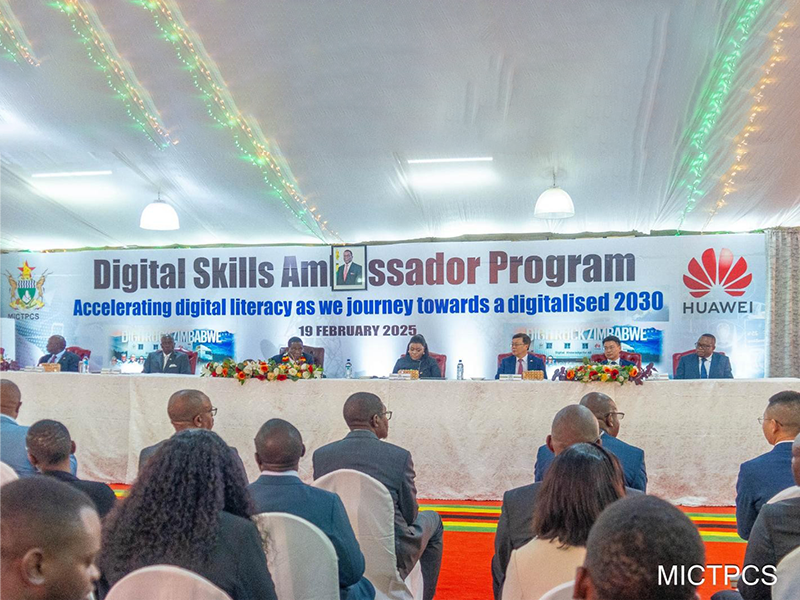 Digital Skills Training